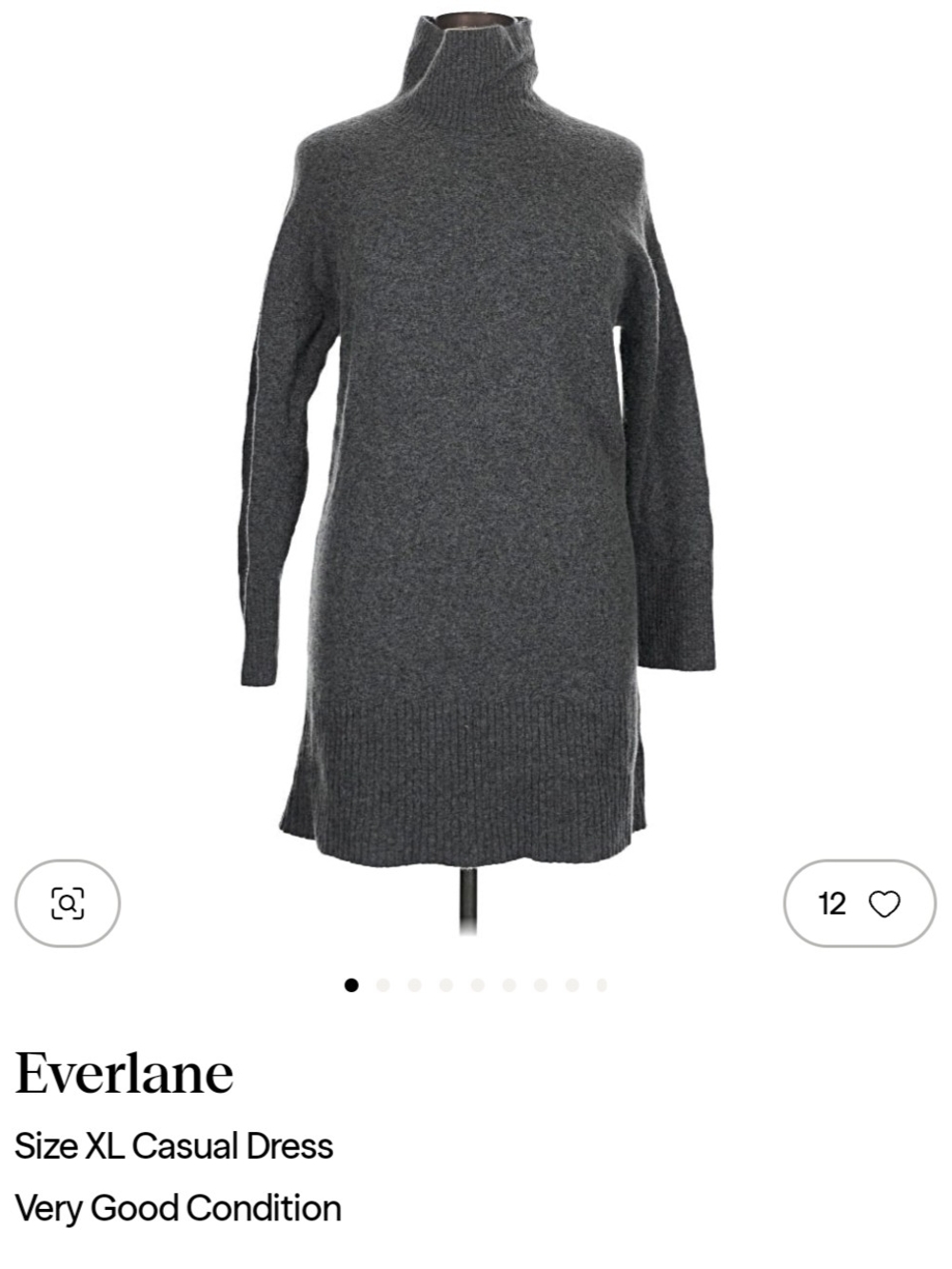 Everlane Charcoal Gray Turtleneck Sweater Dress